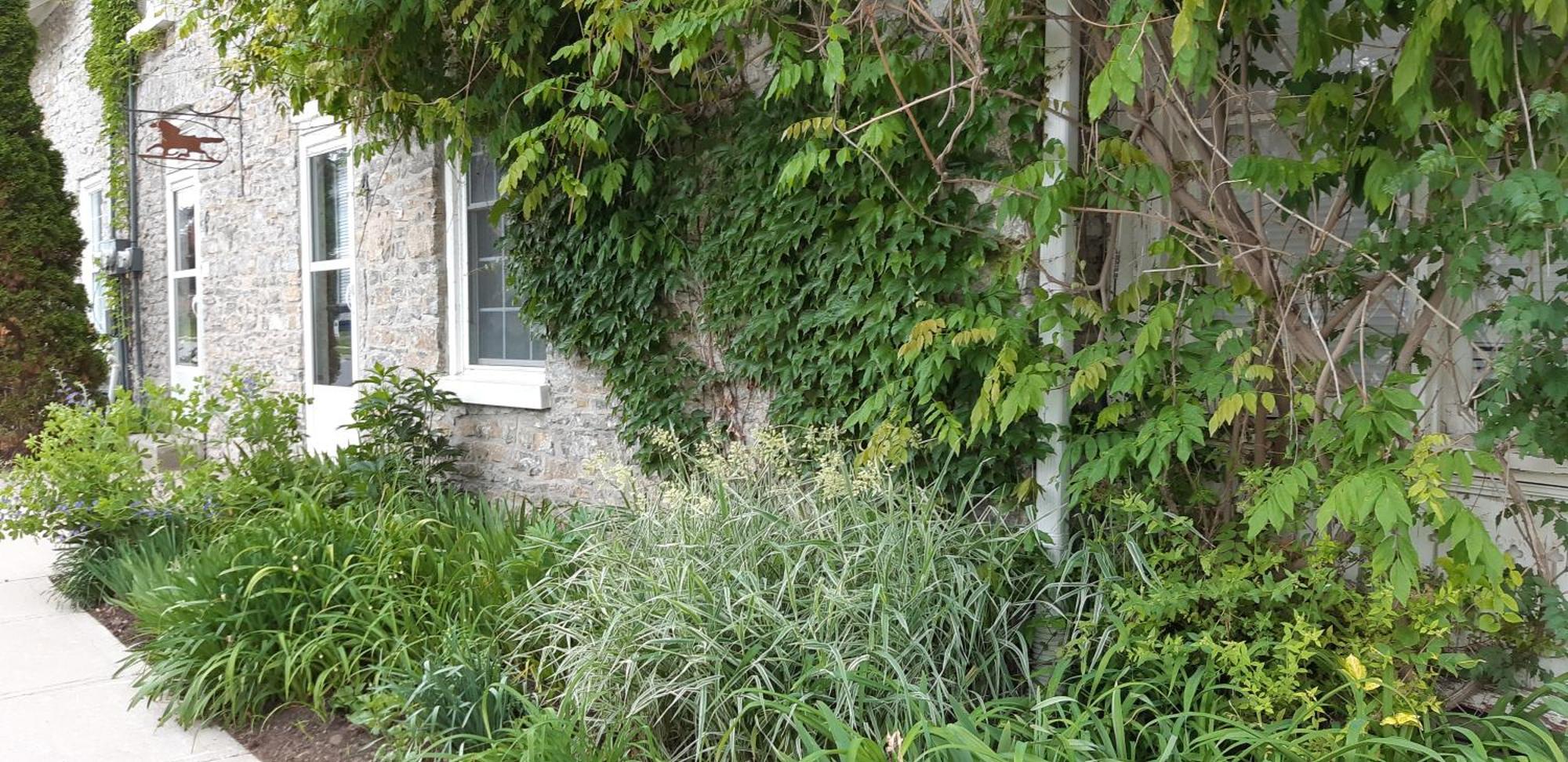Stone Carriage House Picton Exterior foto